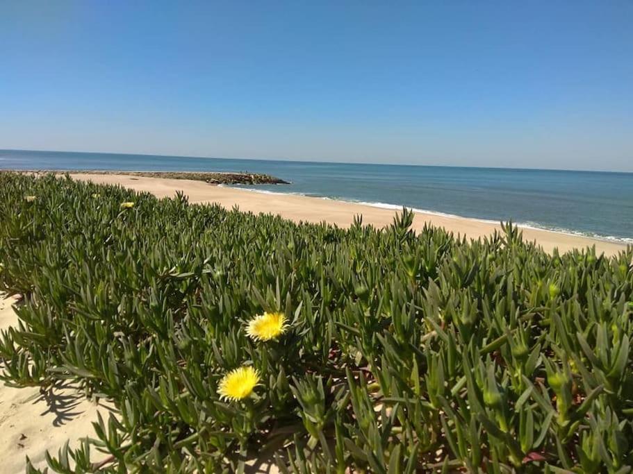 Casa De Praia Acolhedora/ Cosy Beach House Marinha das Ondas Eksteriør bilde